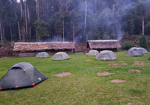 T10: Kokoda to Owers Corner trek 3rd August - 13th August 2019 - Image 6
