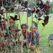 kids at kovelo village kokoda kids at kovelo village kokoda