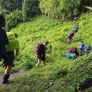 rolloing mountains of kokoda track rolloing mountains of kokoda track