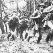 A.Forrester A.Forrester