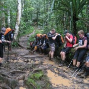 ifhoGlQaTzan1pf9FbWoP93iT-MLPuFN0qJ1Osr88Ps