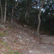 MT Tomaree paths