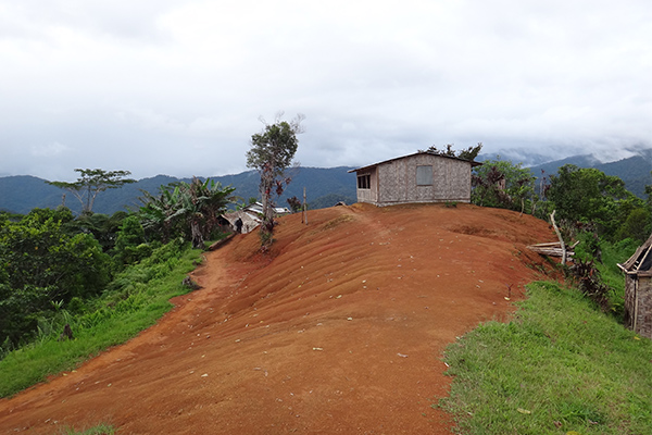 T9: Buna to Kokoda to Owers Corner Trek 21st July - 02nd August 2022 - Image 3