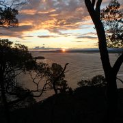 tomaree sunset