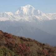 annapurna-skyline