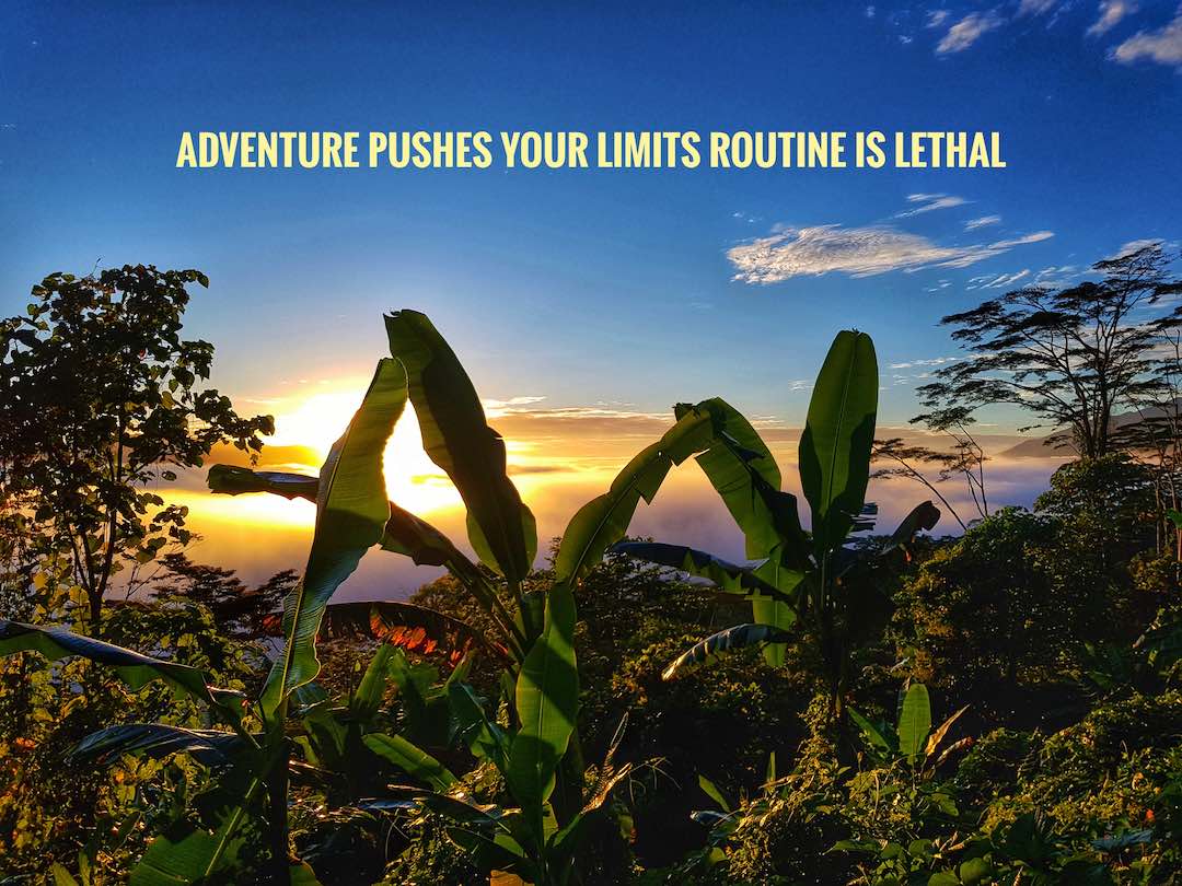 T6: Kokoda to Owers Corner Trek 30th June - 10th July 2021