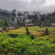 Mt Bellamy base camp Kokoda Mt Bellamy base camp Kokoda