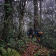 walking to Templetons crossing Kokoda
