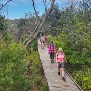 Port Stephens Coastal track board walk Port Stephens Coastal track board walk