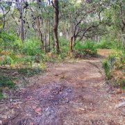 Trail near Fishermans Bay Trail near Fishermans Bay