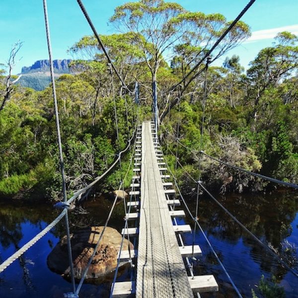 Overland Track Tasmania 11 18 January 2023 Escape Trekking